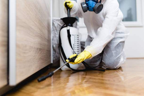 Best Mosquito Control Services  in Limon, CO