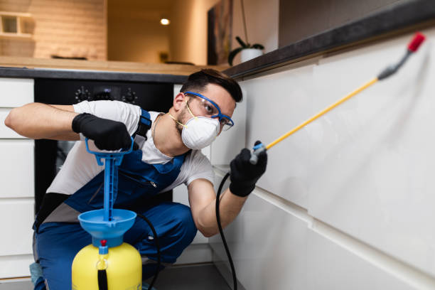 Best Best Pest Control Companies  in Limon, CO
