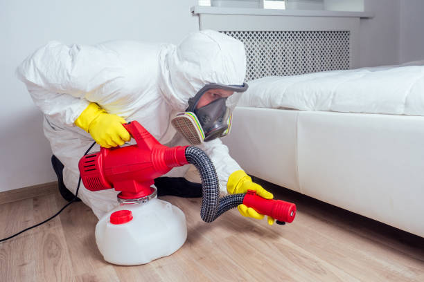 Best Flea Control Services  in Limon, CO