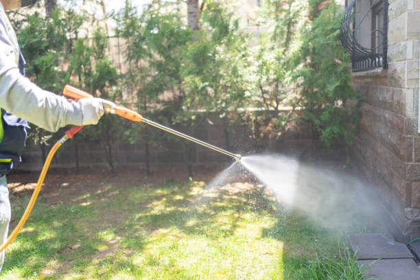 Best Mosquito Control Services  in Limon, CO