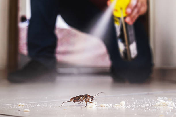 Best Pest Prevention Services  in Limon, CO
