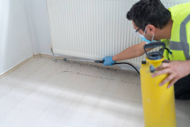 Best Best Pest Control Companies  in Limon, CO